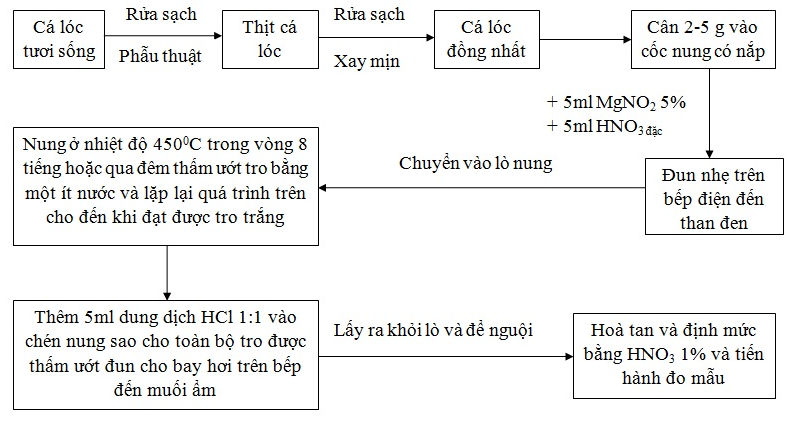 Phân tích, đánh giá hàm lượng một vài kim loại trong thịt cá lóc (Channa maculata) nuôi ở khu vực xã Ngư Thủy Bắc, Huyện Lệ Thủy, Tỉnh Quảng Bình bằng phương pháp AAS